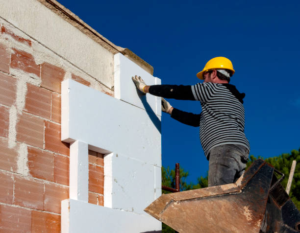 Best Geographic-Specific Insulation Services in Apollo Beach, FL