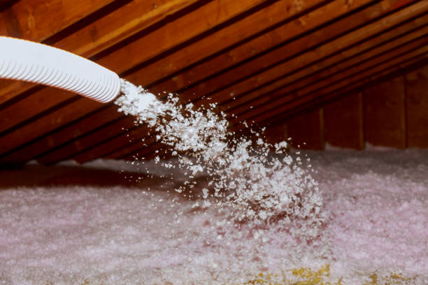 Best DIY Insulation Kits and Guidance in Apollo Beach, FL