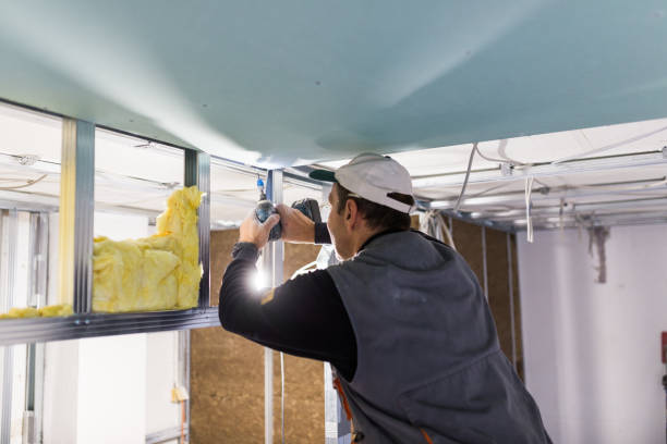 Best Insulation Maintenance and Repair in Apollo Beach, FL