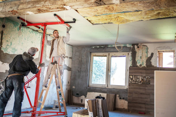 Best Geographic-Specific Insulation Services in Apollo Beach, FL