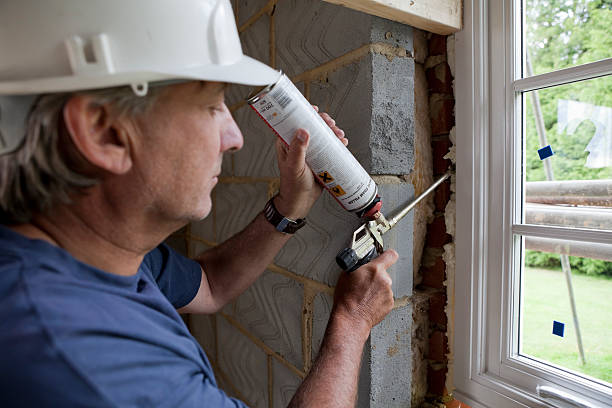 Best Eco-Friendly Insulation in Apollo Beach, FL