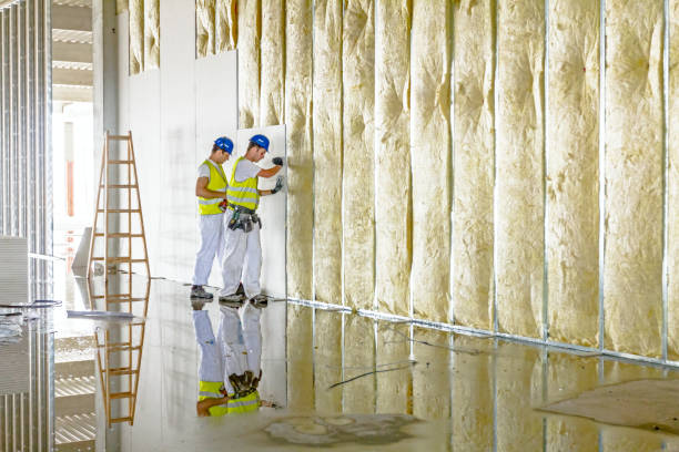 Types of Insulation We Offer in Apollo Beach, FL